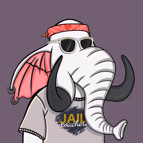 Untamed Elephants