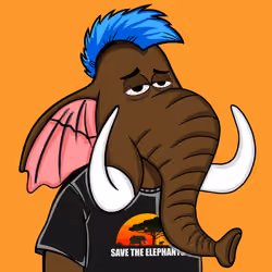 Untamed Elephant #6858