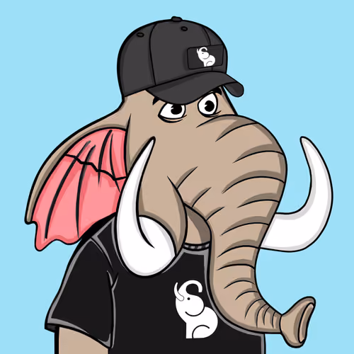 Untamed Elephant #2411