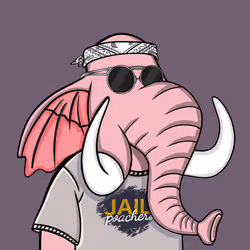 Untamed Elephant #6502