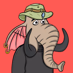 Untamed Elephant #2333