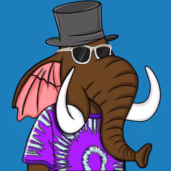 Untamed Elephant #6817