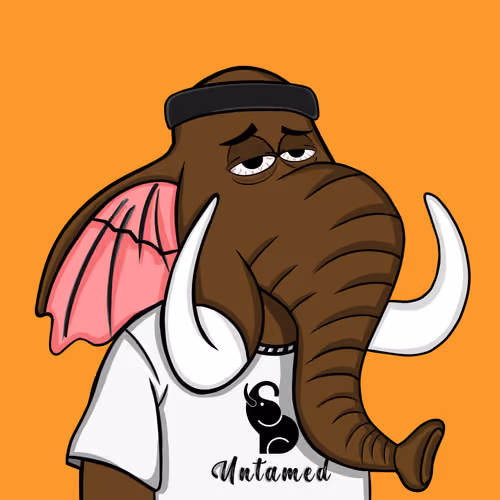 Untamed Elephant #3758