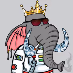 Untamed Elephant #4359
