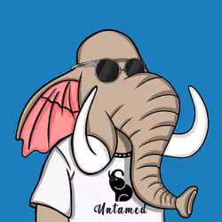 Untamed Elephant #5256