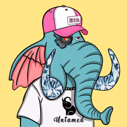 Untamed Elephant #1111