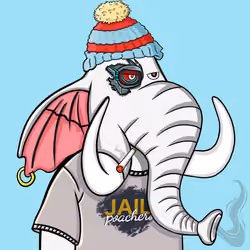 Untamed Elephant #1097