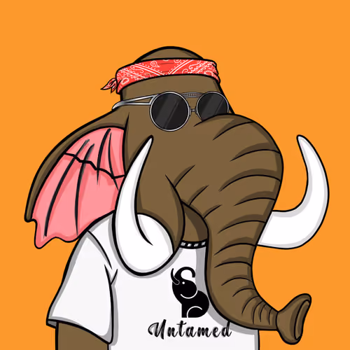 Untamed Elephant #5317