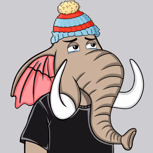 Untamed Elephant #5706