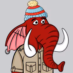 Untamed Elephant #2885