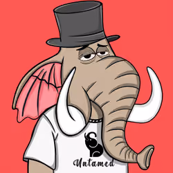 Untamed Elephant #4979