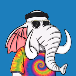 Untamed Elephant #5599
