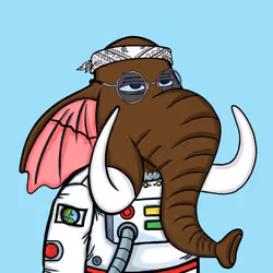 Untamed Elephant #4204