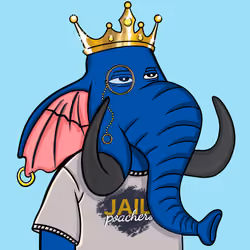 Untamed Elephant #2575