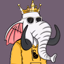 Untamed Elephant #3013