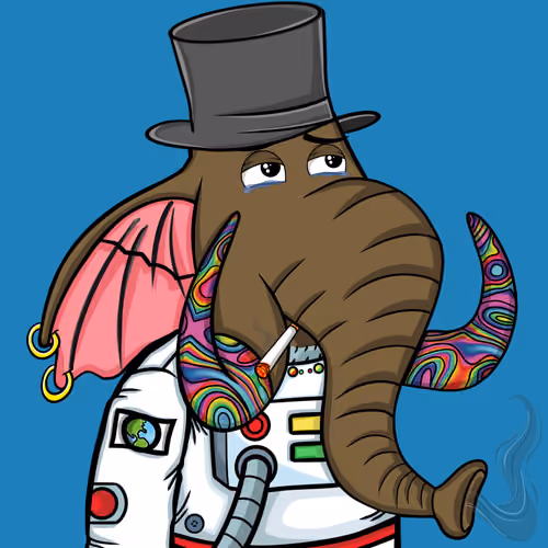 Untamed Elephant #1355
