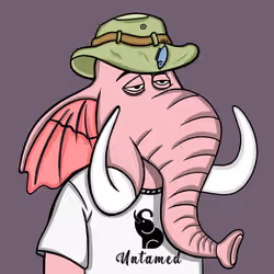 Untamed Elephant #3887