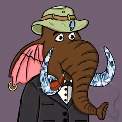 Untamed Elephant #481
