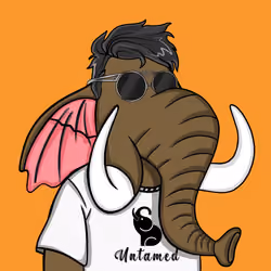 Untamed Elephant #5169