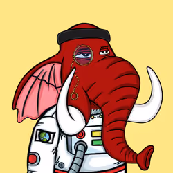 Untamed Elephant #5817