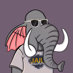 Untamed Elephant #5372