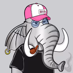 Untamed Elephant #549