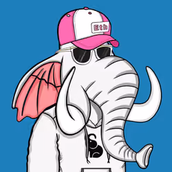 Untamed Elephant #3800