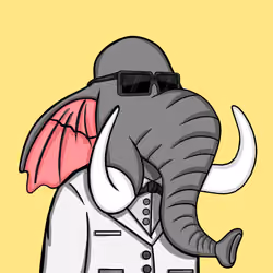 Untamed Elephant #5562