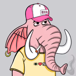 Untamed Elephant #1738