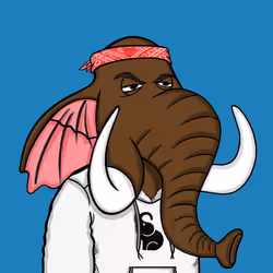 Untamed Elephant #4258