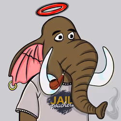 Untamed Elephant #5447