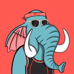 Untamed Elephant #6465