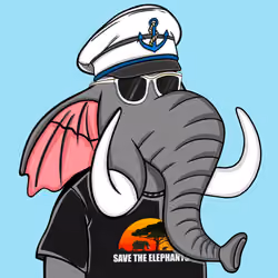 Untamed Elephant #5106
