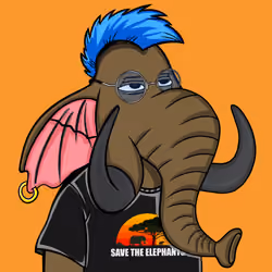 Untamed Elephant #2664