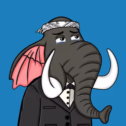 Untamed Elephant #5742