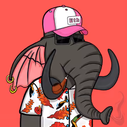 Untamed Elephant #1833