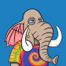 Untamed Elephant #5187
