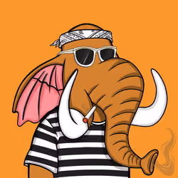 Untamed Elephant #1876