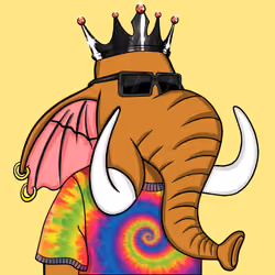 Untamed Elephant #1880