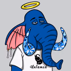 Untamed Elephant #6657