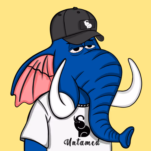 Untamed Elephant #3578