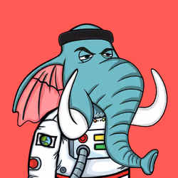 Untamed Elephant #3300