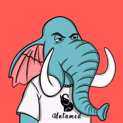 Untamed Elephant #6420