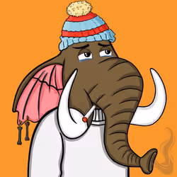Untamed Elephant #4776