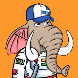 Untamed Elephant #5561