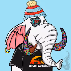 Untamed Elephant #1321