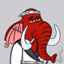 Untamed Elephant #800