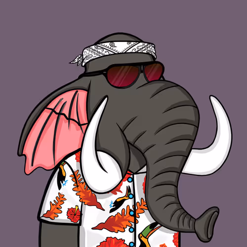 Untamed Elephant #6341