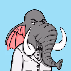 Untamed Elephant #5503