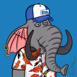 Untamed Elephant #1747